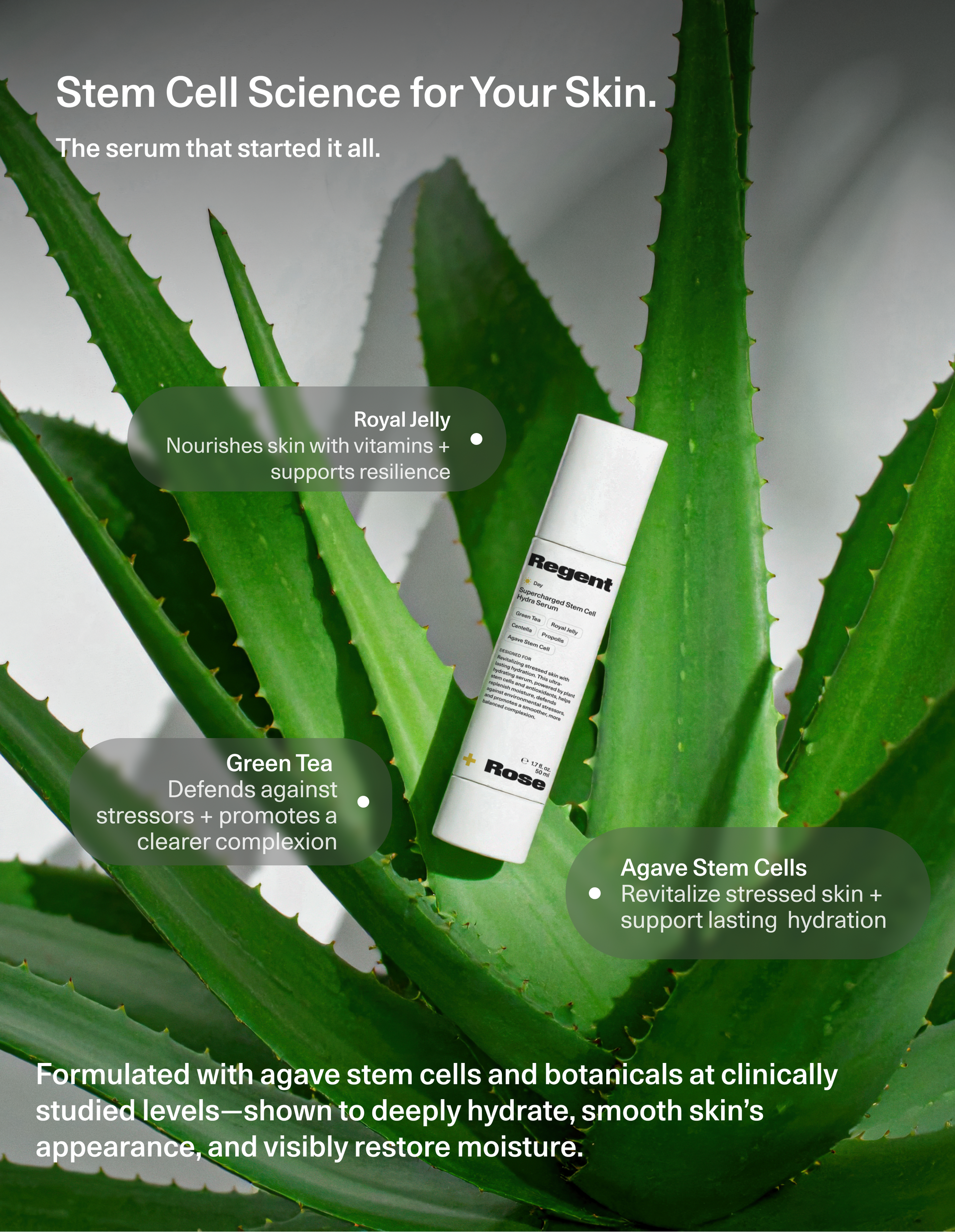 Supercharged Stem Cell Hydra Serum